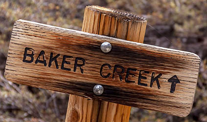 baker creek
